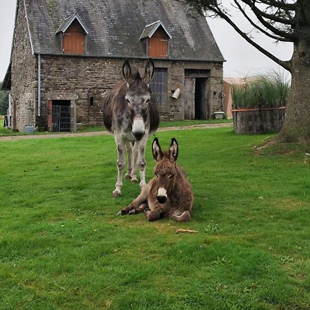 La Billardiere Camping A La Ferme Le Menil-Ciboult Luaran gambar