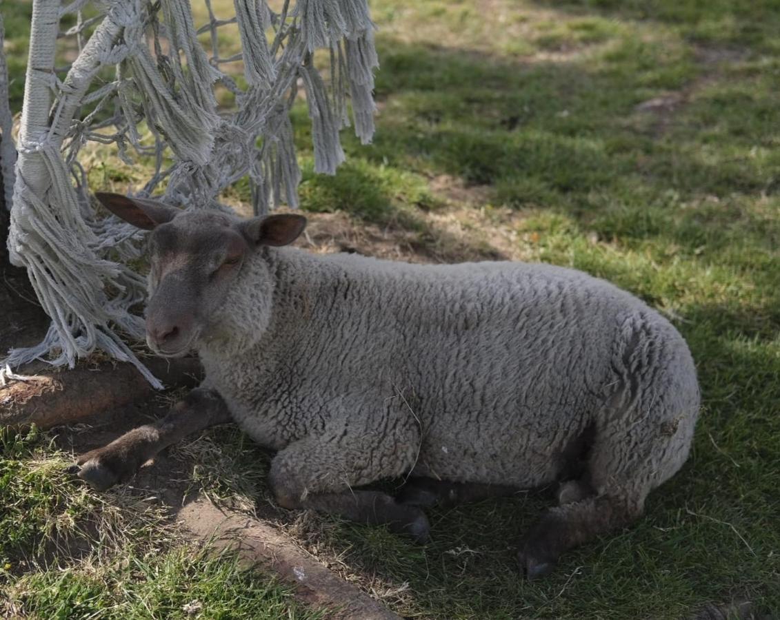 La Billardiere Camping A La Ferme Le Menil-Ciboult Luaran gambar