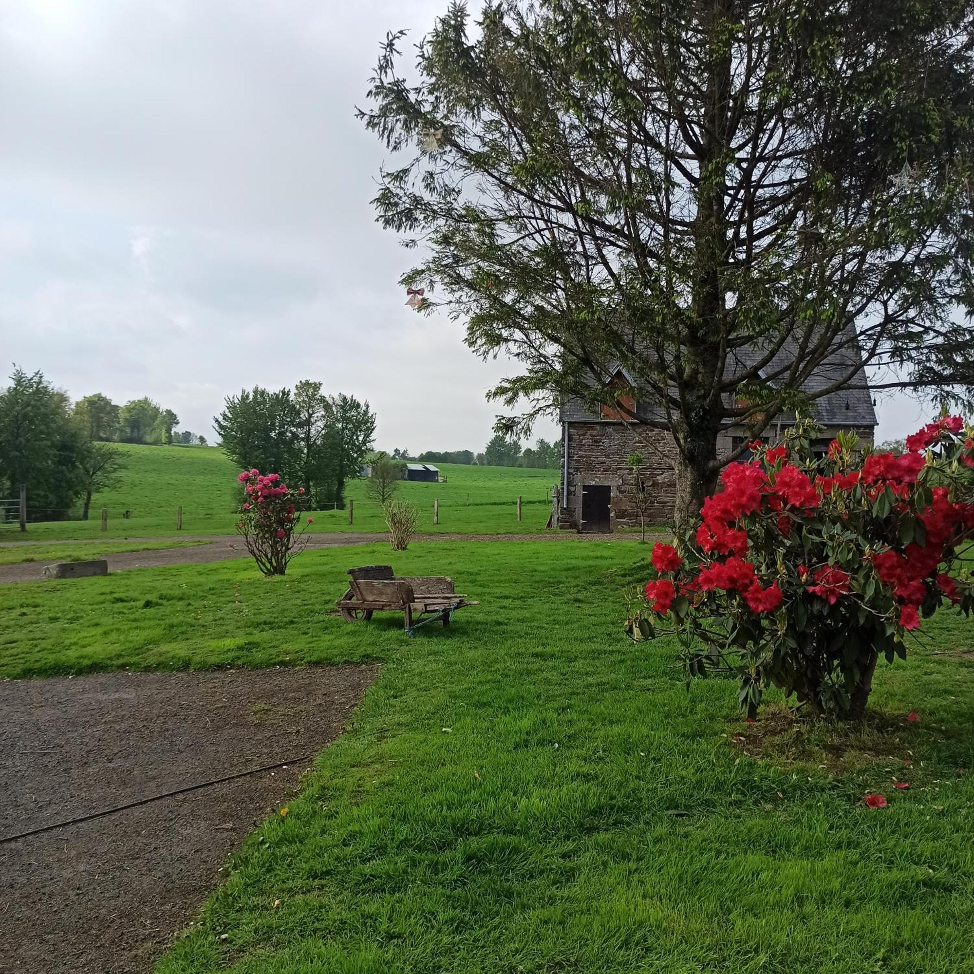 La Billardiere Camping A La Ferme Le Menil-Ciboult Luaran gambar