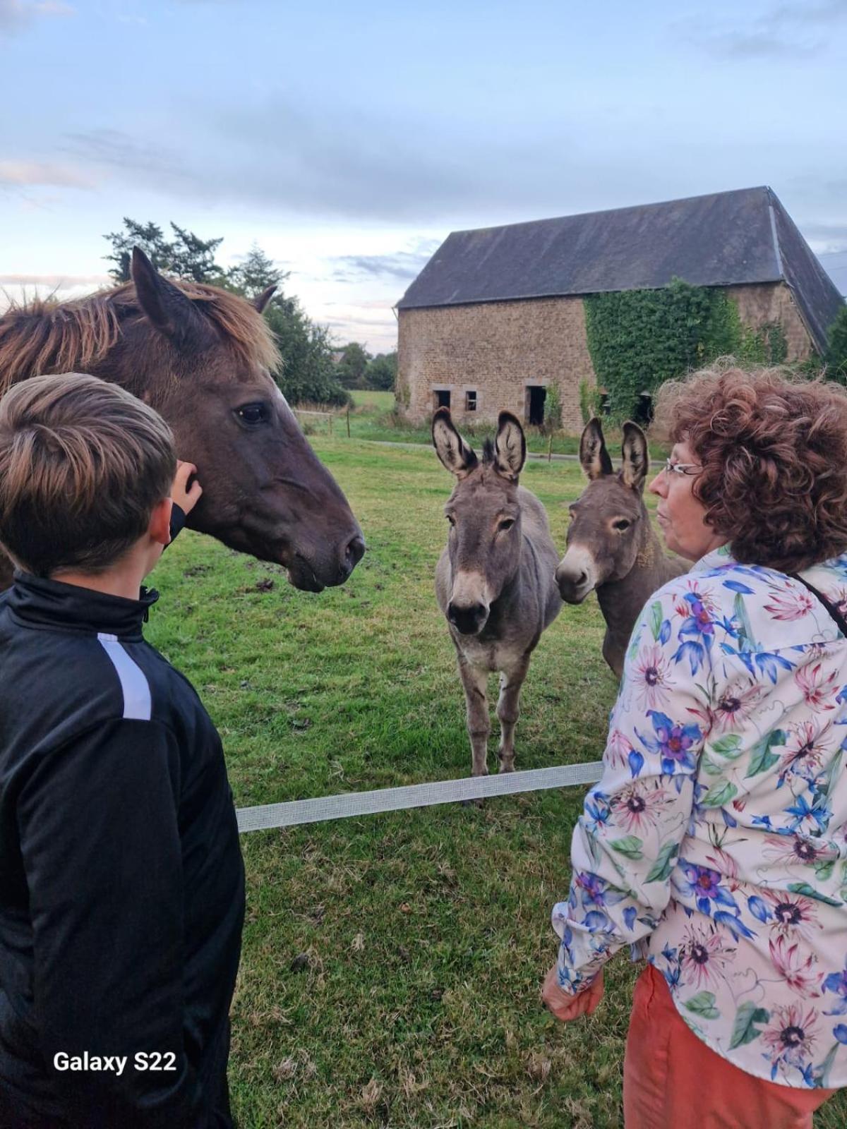 La Billardiere Camping A La Ferme Le Menil-Ciboult Luaran gambar